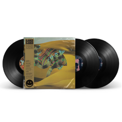 Django Django 10th Anniversary limited deluxe 180gm vinyl 3 LP with Mad Professor Dub