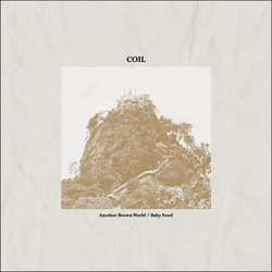 Coil Another Brown World / Baby Food marble coloured vinyl 12"