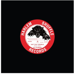 RSD2020 Roy Redmond Aint That Terrible A Change Is Gonna Come 7" Vinyl