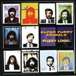 Super Furry Animals Fuzzy Logic RSD vinyl LP +download 