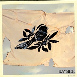 Bayside The Walking Wounded