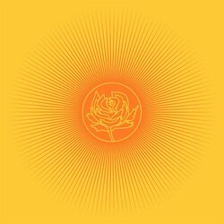 Ryan Adams Easy Tiger Limited Edition ORANGE vinyl LP