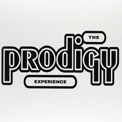 Prodigy Experience vinyl 2 LP in gatefold sleeve