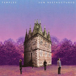 Temples Sun Restructured limited edition vinyl LP in 3D effect sleeve 