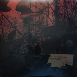 Shugo Tokumaru Night Piece