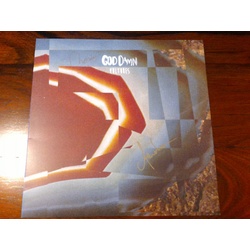 God Damn Vultures signed vinyl LP gatefold sleeve                                                                        
