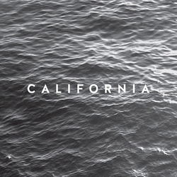 California Hate The Pilot / Cut & Paste RSD black/white splatter 7 vinyl 