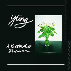 Yung A Youthful Dream vinyl LP 
