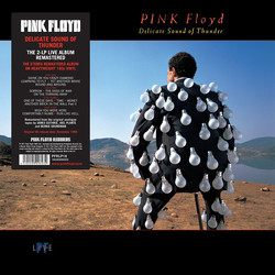 Pink Floyd Delicate Sound Of Thunder PFR 2017 remastered vinyl 2 LP g/f