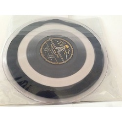 Public Nuisance Gotta Survive TMR Triple Decker Record vinyl 12" / 7" very good