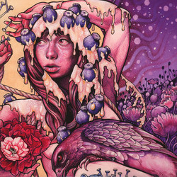 Baroness Try To Disappear vinyl LP picture disc 