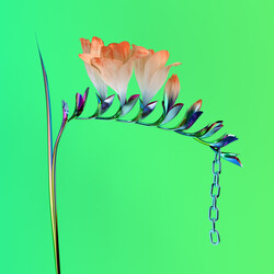 Flume Skin Companion EP I vinyl 45rpm EP