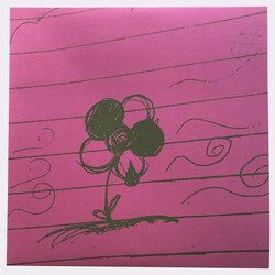 Akai Solo Eleventh Wind vinyl LP