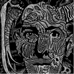 S T Joshi Selections From H P Lovecraft A Short Biography limited RANDOM COLOUR VARIANT vinyl LP