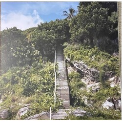 Armand Hammer Haram Instrumentals COKE BOTTLE CLEAR vinyl LP