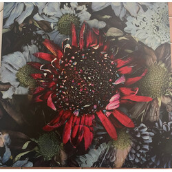 Protest The Hero Kezia Limited TRANSPARENT RED YELLOW BURST vinyl 2 LP 45RPM