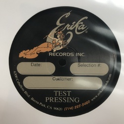 Sum 41 Does This Look Infected SRC Erika Records Test Pressing vinyl LP