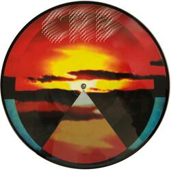 The Chris Robinson Brotherhood Dice Game / Let It Fall 10" PICTURE DISC SINGLE 45RPM