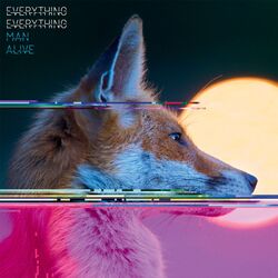 Everything Everything Man Alive 2023 reissue VINYL LP