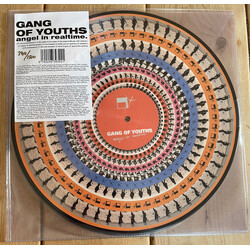 Gang of Youths Angel In Realtime ZOETROPE PICTURE DISC Vinyl 2 LP