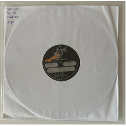 Sum 41 Underclass Hero ERIKA RECORDS VINYL 2 LP TEST PRESSING