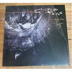 Cocteau Twins Treasure VINYL LP - PARTIALLY SIGNED