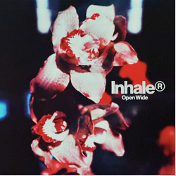 Inhaler Open Wide NUMBERED ORCHID RED WITH BROWN / WHITE SPLATTER VINYL LP NEW