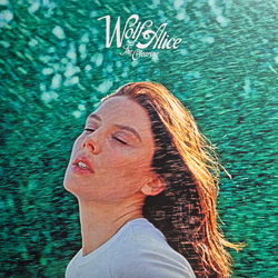 Wolf Alice The Clearing CLEAR BLUE VINYL LP ALT COVER