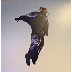 Mavi (12) The Pilot Vinyl LP