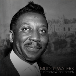 Muddy Waters The Essential Collection VINYL LP