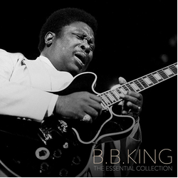 B.B. King The Essential Collection VINYL LP
