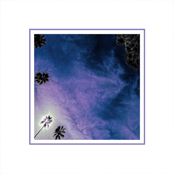 Look Outside Your Window Look Outside Your Window CLEAR PURPLE VINYL LP