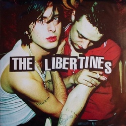 The Libertines The Libertines VINYL LP