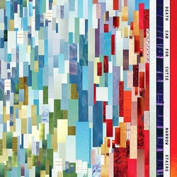 Death Cab For Cutie Narrow Stairs vinyl LP