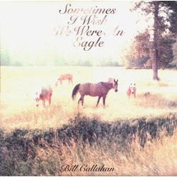 Bill Callahan Sometimes I Wish We Were vinyl LP