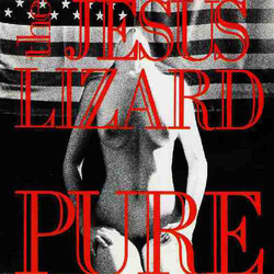 The Jesus Lizard Pure vinyl LP 