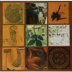 Califone All My Friends Are Funeral Singers