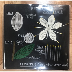 Etta James At Last Secret vinyl 7" in unique sleeve