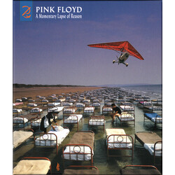 Pink Floyd A Momentary Lapse Of Reason (Remixed & Updated) Multi CD/DVD Box Set