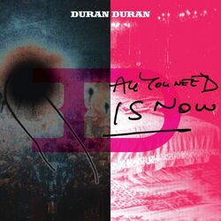 Duran Duran All You Need Is Now 2022 reissue black vinyl 2 LP