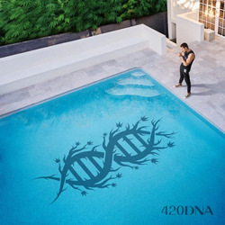 Chillinit 420DNA BLUE VINYL LP