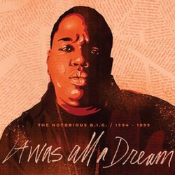 The Notorious B.I.G. It Was All A Dream 1994-1999 RSD 2020 Vinyl 9 LP box set
