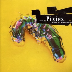 Pixies Wave Of Mutilation Best Of VINYL 2 LP gatefold sleeve NEW plastic wallet          