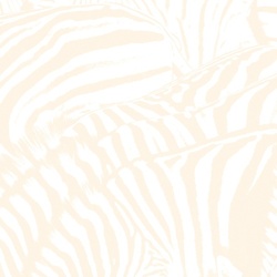 Beach House Teen Dream vinyl 2LP + DVD + download, gatefold sleeve