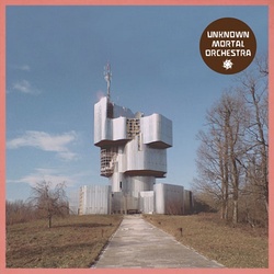 Unknown Mortal Orchestra Unknown Mortal Orchestra vinyl LP