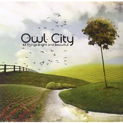 Owl City All Things Bright And Beautiful vinyl LP