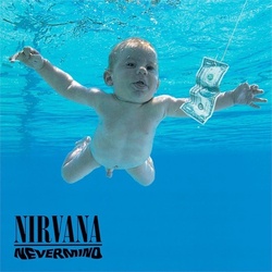 Nirvana Nevermind remastered Back to Black 180gm vinyl LP +download DINGED SLEEVE