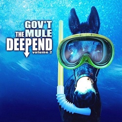 Gov't Mule Deep End volume 2 Remastered 180gm vinyl 2LP