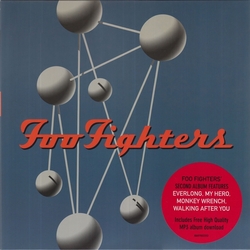 Foo Fighters Colour And The Shape VINYL 2 LP