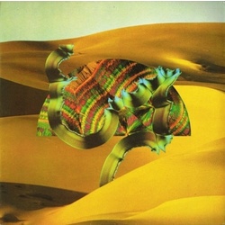 Django Django Django Django vinyl 2 LP + CD
